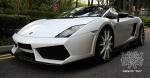 Lamborghini Gallardo Toro by DMC 2012 года